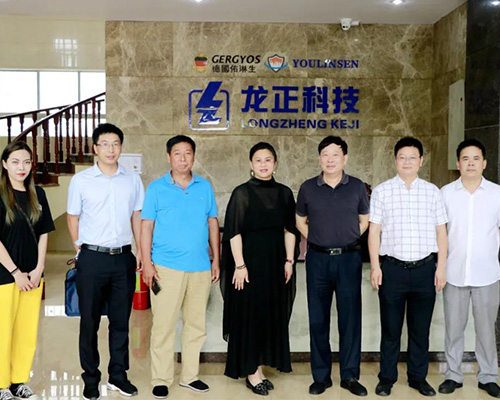 江西龙正科技发展有限公司