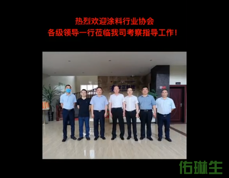 梁山县涂料产业园技术交流视频