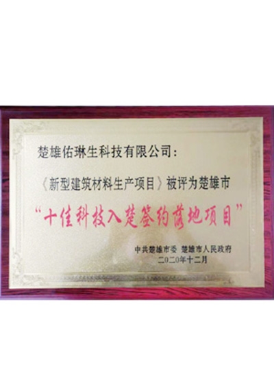 十佳科技入楚签约落地项目