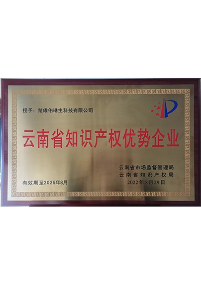 云南省知识产权优势企业