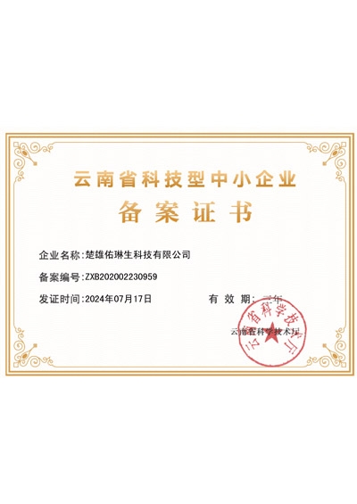 云南省科技型中小企业备案证书